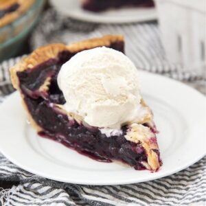 Blueberry Pie Melt