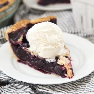 Blueberry Pie Melt